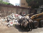 "نظافة الجيزة" تلغى تجميع القمامة بجوار مدرسة فى العجوزة وتزرعه أشجارا