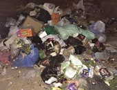 قارئ يطالب برفع القمامة من قرية الطرحة فى محافظة دمياط