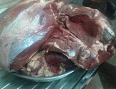 بالصور.. ضبط 327 كيلو فسيخ ولحوم غير صالحة خلال حملة فى المنصورة