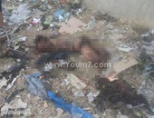 طائرات عسكرية تقصف مناطق تجمع الإرهابيين بمناطق الشيخ زويد