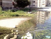 صحافة المواطن: بالصور.. مياه الصرف تهدد مساكن منطقة المستعمرة بالإسكندرية