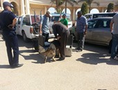 تعزيزات أمنية فى محيط استاد القاهرة قبل لقاء الزمالك وسموحة