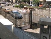 صحافة المواطن.. قمامة ومواشى على مدخل موقف "الترجمان"