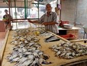 تعرف على أسعار الأسماك اليوم فى سوق العبور