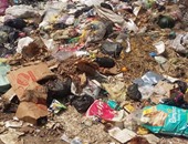 "واتس آب اليوم السابع".. القمامة تنتشر على ضفاف النيل فى سمنود بالغربية