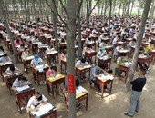 لجنة امتحان فى قلب الغابة بالصين لمنع الغش وتخفيف الضغط عن الطلاب 