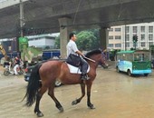 بالصور.. صينى يذهب لعمله يوميًا بالحصان هربًا من الزحام
