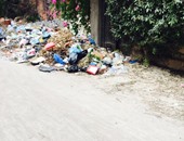 صحافة المواطن.. انتشار القمامة فى شوارع حى العجمى وسط غياب عمال النظافة