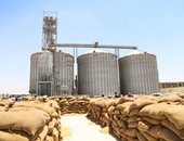 هيئة السلع التموينية تتلقى عروضًا من 4 شركات فى مناقصة لشراء القمح
