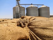 "الصناعات الغذائية": استمرار هبوط السعر العالمى للقمح للشهر الثالث