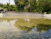 القابضة لمياه الشرب ترد على تصريحات حول تلوث بحيرة إدكو 