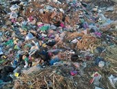 بالصور.. معاناة أهالى قرى الواسطى شمال بنى سويف من القمامة والناموس