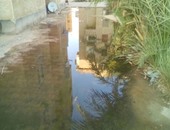سكان مدينة الشروق يتعرضون لطفح مياه المجارى داخل الكتلة السكنية