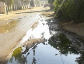 مياه الصرف تغرق شارع "كفر الباجور - سنجلف" فى المنوفية
