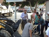 محافظة الإسكندرية تشن حملة على "النباشين"
