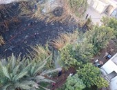 السيطرة على حريق محدود بفناء مستشفى حميات طنطا