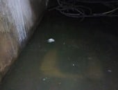 بالصور.. مياه الصرف الصحى تتسرب للمنازل بقرية صرد بمحافظة الغربية 
