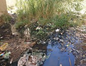 بالصور..أهالى مساكن الكويزات بجرجا يعانون من مياه الصرف الصحى