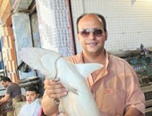 بالصور.. بيع 10 أنواع لأسماك القرش بـ35 جنيها للكيلو فى السويس