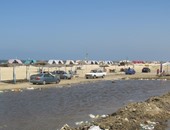 بالصور.. شاطئ بور فؤاد يعانى من مياه الصرف الصحى والكلاب المسعورة