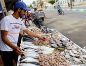 "تموين بورسعيد" : طرح أسماك بأسعار مخفضة الأربعاء والخميس من كل أسبوع