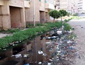 صحافة المواطن: مياه الصرف والقمامة تحاصر مساكن "المستعمرة" فى الإسكندرية