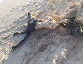صحافة المواطن..العثور على جثة أمام شاطئ قرية سياحية فى الساحل الشمالى