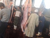 "زراعة البرلمان" تطالب بلجنة تقصى حقائق للمجازر والمزارع الحيوانية لضبط اللحوم الفاسدة