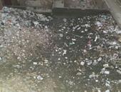أهالى شارع الرحمة ببين السرايات يستغيثون من قطعة أرض مملوءة بالقمامة