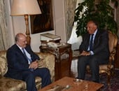 وزير الخارجية والمبعوث العربى لليبيا يبحثان الاستعداد لمؤتمر دول الجوار الليبيى