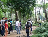 تقرير: البرازيل تحرز تقدما فى الحفاظ على الغابات