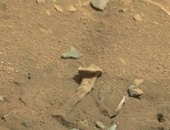 الإندبندنت: مهووسو الفضاء يزعمون العثور على عظمة فخذ فى المريخ