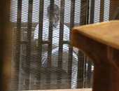 محاكمة محمد مرسى وقيادات الإخوان فى قضية الهروب من سجن وادى النطرون
