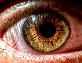 باحثون أمريكيون: العيون ذات الصبغة الصفراء أكثر قدرة على الرؤية