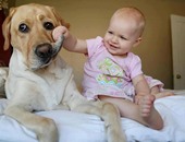 "الكلب صديق طفلك الأول".. أجمل 5 فيديوهات يتحدث فيها الأطفال مع كلابهم