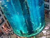 بالصور.. أكبر حوض سمك فى العالم بأحد فنادق ألمانيا