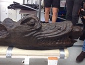 انتشال تمثال "وحش البحر" من سفينة غرقت عام 1495