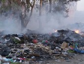 "النور" بدسوق يطالب بإنشاء مصنع لتدوير القمامة للقضاء على حرقها