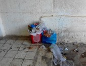 صحافة المواطن: قارئة تشكو انتشار القمامة بقرية مراقيا فى الساحل الشمالى
