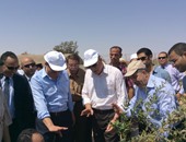 بالصور.. وزير البحث العلمى: مزرعة نموذجية بجنوب سيناء على مساحة 100 فدان