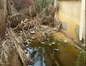 "صحافة المواطن": مدرسة قرية ميت سويد بالدقهلية تغرق فى مياه الصرف الصحى
