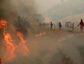 مصرع شخص وإجلاء 12 ألف جراء حرائق غابات فى كاليفورنيا