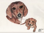 من حبه فى الحيوانات رسمها.. "لافيس" رسام يخصص قلمه لتصوير الكلاب والقطط