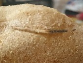 ضبط مسئول مخبز بحوزته 16 طن دقيق قبل بيعه فى السوق السوداء