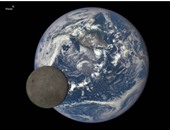 بالفيديو.. الاندبندنت: ناسا تعرض صورا فريدة للجانب المظلم للقمر لأول مرة