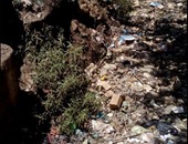 قارئ لـ"صحافة المواطن":بالصور..تراكم القمامة بترعة "ميت العز" فى المنوفية