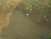 استجابة لـ"صحافة المواطن": سحب المياه المتراكمة بالمسلة الناقصة فى أسوان