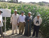 لجنة من مديرية الزراعة بسوهاج تتفقد 4 حقول من الذرة الشامية بمركز أخميم