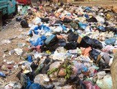 "نظافة الجيزة"ترفع مخلفات شارع الأقصر بعد انسحاب شركة النظافة من إمبابة