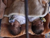 وقف حملة للتطعيم ضد الحصبة فى شمال سوريا بعد وفاة 15 طفلاً